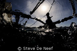 Taken during surfacing after a dive on the beautifull apo... by Steve De Neef 